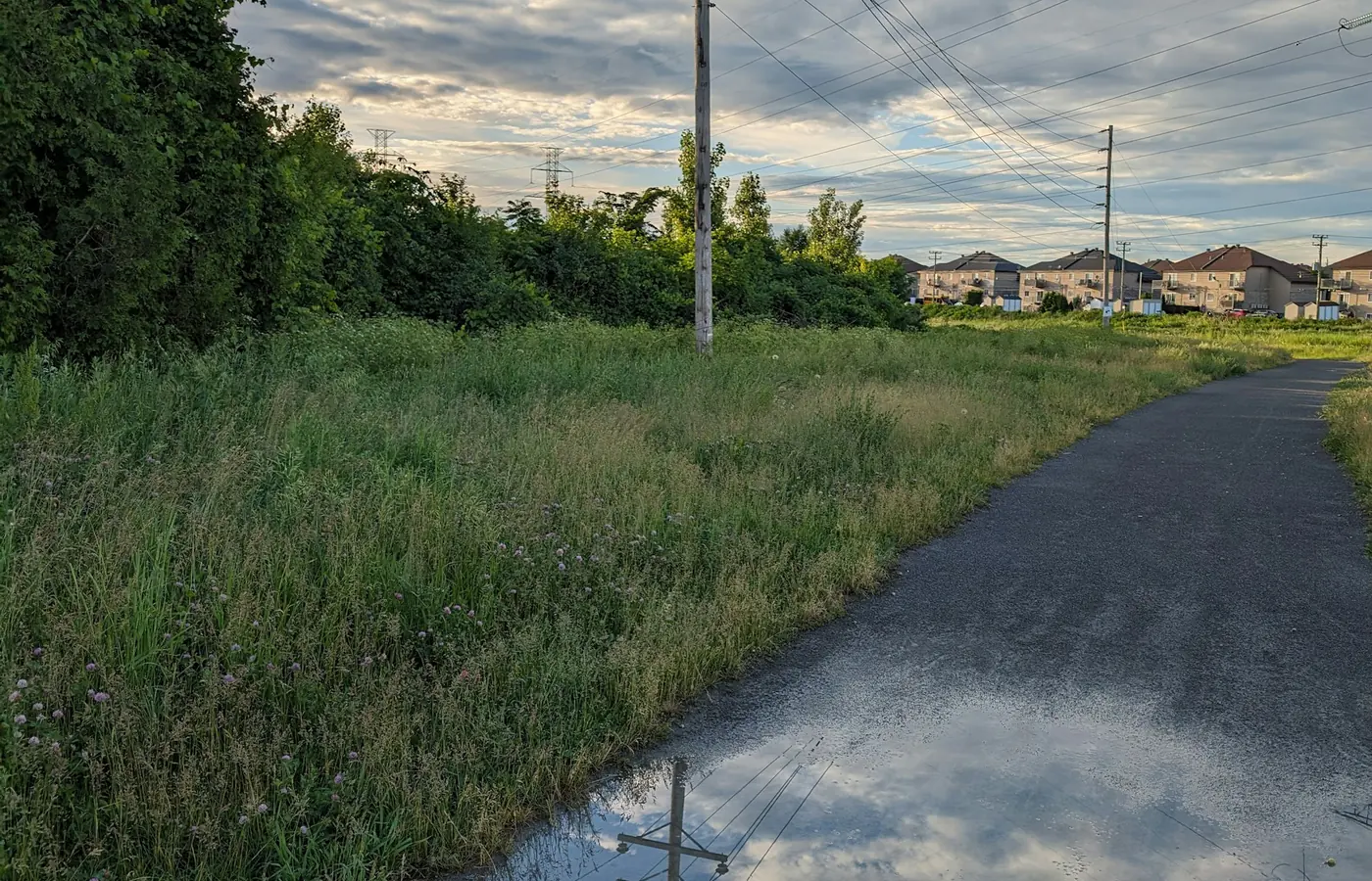 Rue résidentielle de Repentigny bordée de duplex et de triplex représentant le parc locatif de la région